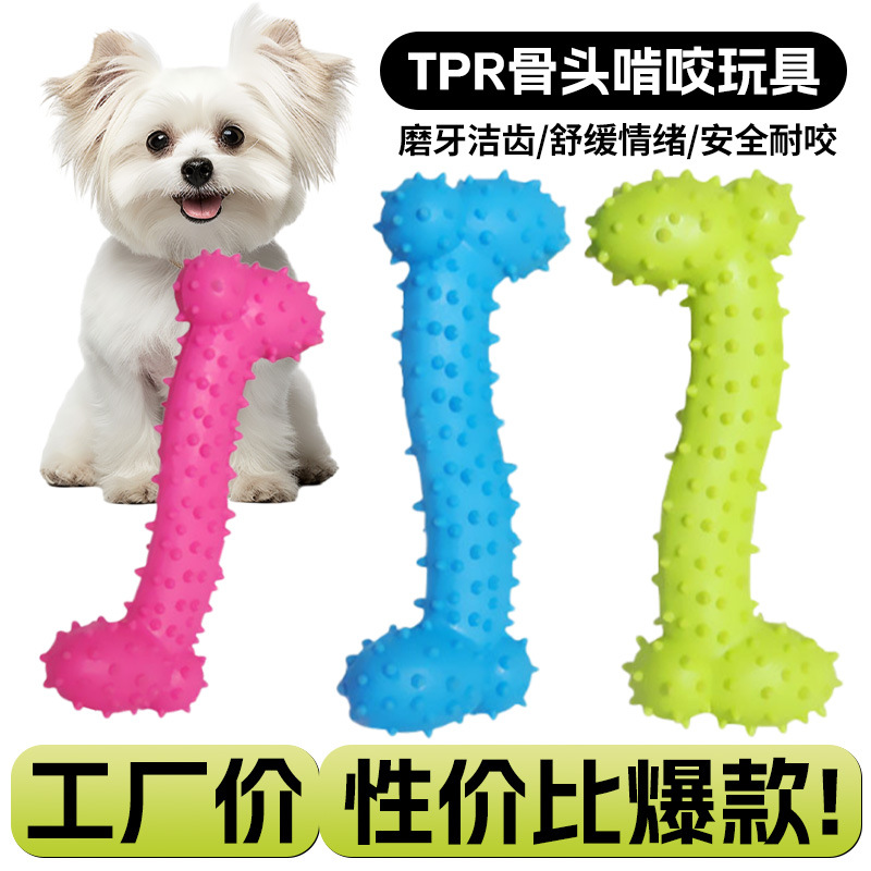 국경 간 제조업체 도매 애완 동물 용품 강아지 치아 청소 어금니 훈련 개는 뼈를 물다 TPR 어금니 장난감