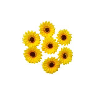 �������տ��������l �赸���b���߽��� ��ñ�����b�̫ꖻ����^