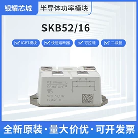 普通晶闸管;IGBT模块;集成电路