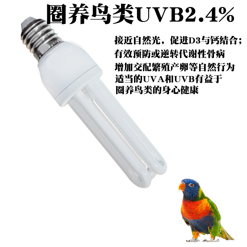 Compact fluorescent lamp chick chick lamp 2.4%UVBUVA bird parrot color enhancement full spectrum calcium supplement lamp
