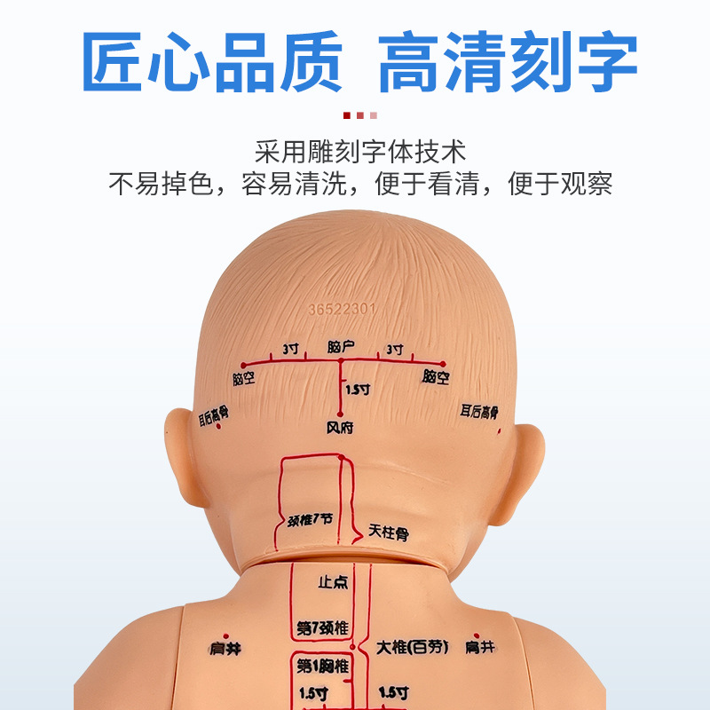 ȫ��Ѩλ���޾���ͼ��Ħ����ҽС�����ý�ѧ������ɩ��ѵ����ģ��