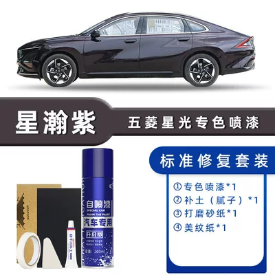 Supplies Paint Scratch Repair, Avtomobil boya qələmləri - color-classification-xinghan-purple-standard-repair-send-soil-simple-tools