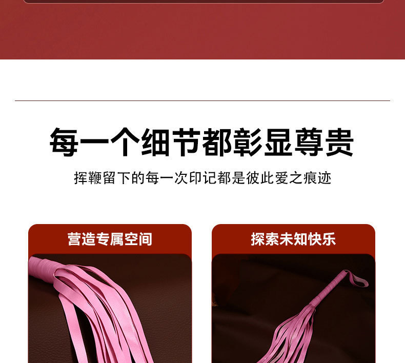 Qingge 55cm PU Leather Small Whip for Adult Couples Bondage Play — detail image 7