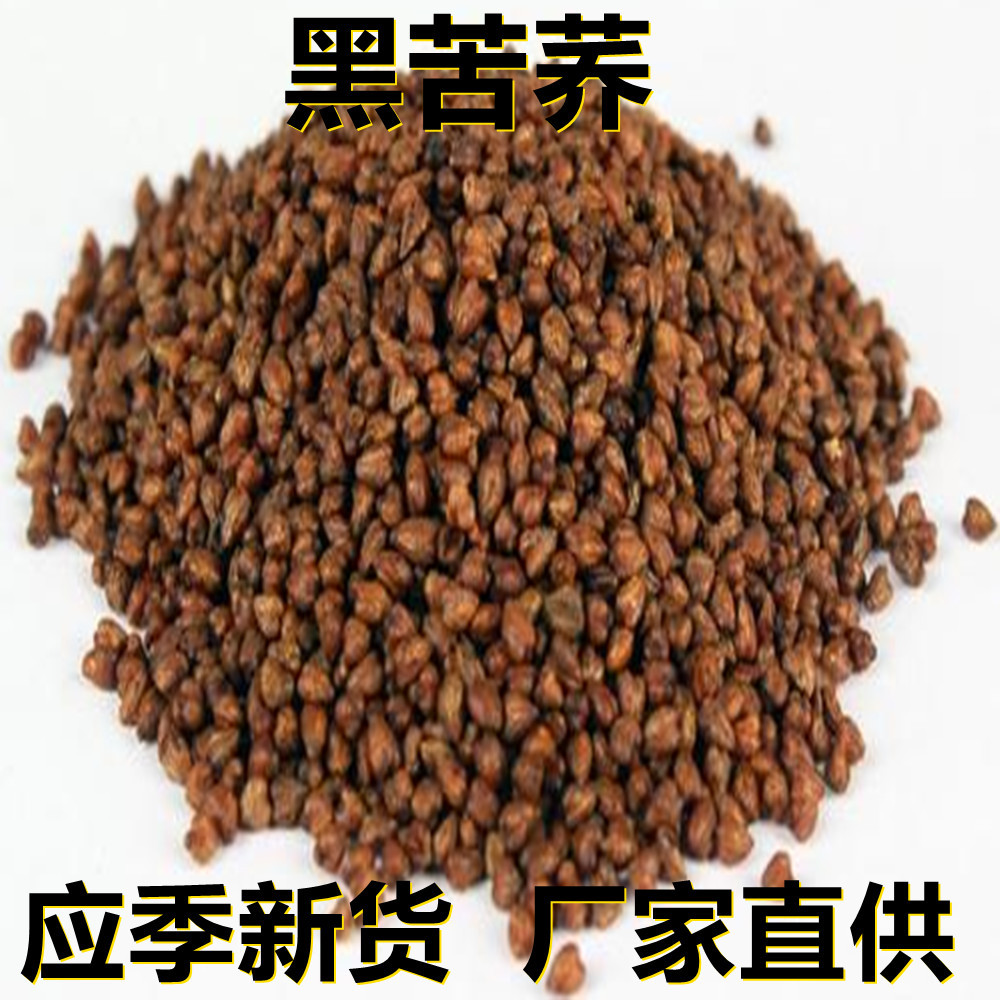 应季新货 新鲜大粒黑苦荞茶 500克/1斤散装 厂家直供 食用休闲茶