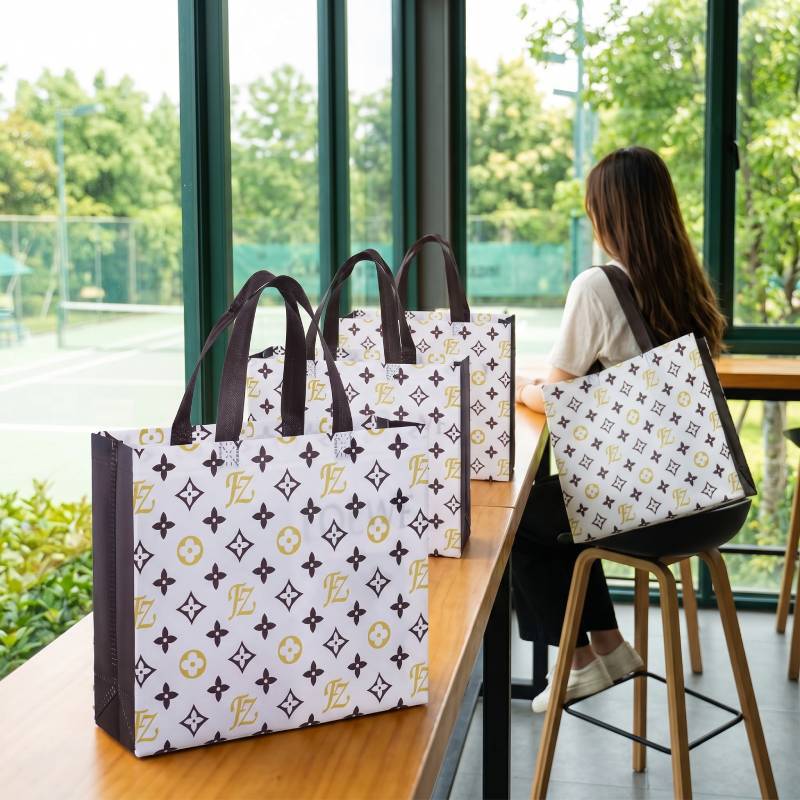 Bolsas de mano no tejidas bolsas de regalo bolsas de compras bolsas de mano no tejidas recubiertas bolsas de ropa logotipo personalizado al por mayor