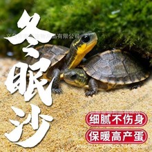 Ҭuɳľзɳ쾰~^ɳ̦\|