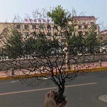 ���̓�����Ȼ���F�� ������ �F�� ���к��~�׼Ҿ��b� �Ĕz����