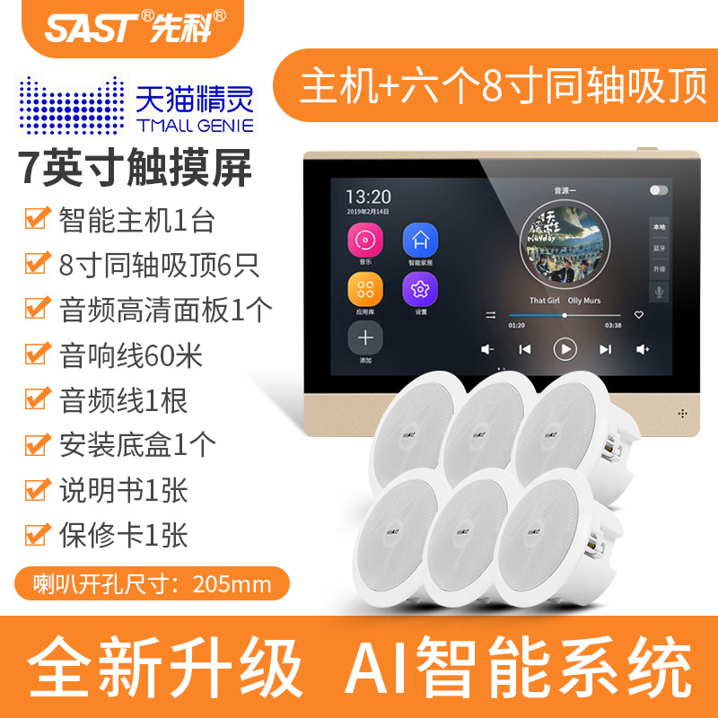 [내장 Tmall Elf] 호스트 + 6 8inch Audiophile 동축 천장 오디오