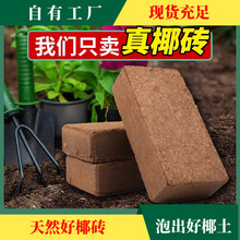 高泡发椰砖营养土阳台种菜养花肥料通用型脱盐椰土椰糠花土专用型