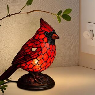 Cardinal Stained Glass Lamp��֬�t�B����춼�ͥ�k�����}�Q�b�