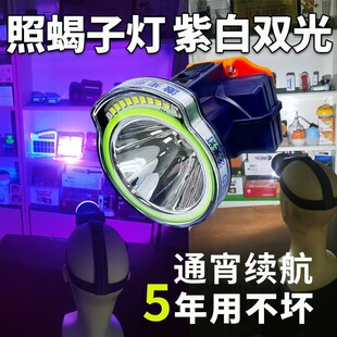 ϐ�ӟ���ϐ�����^��ʽ����ɳ�늰����p���^�����L�m��ץ���s��