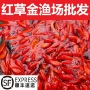 金鱼送货养殖上门观赏鱼