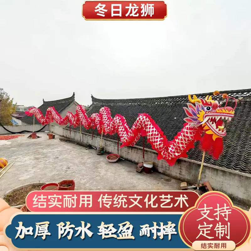 舞龙道具比赛国标龙灯用品牛津布烫金龙彩带道具展示表演九节龙头