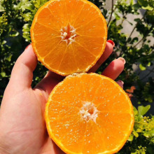 Įa^-SĴüɽ38̖΢Ʒ|FժFl