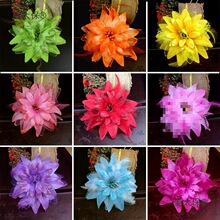 �赸��ָ���ŵ��_����������^��ݳ����^����ָ���֭h�b���̫��