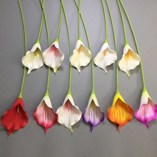 羳Q滨֧evaRɏYbҾ߲廨b@