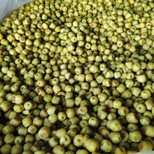 ɢ�b�[��ɏ�Ӵ��Ƭ�߲˸ɹ��߸�12.5kg���l ��ʳ �����S��Óˮɏ