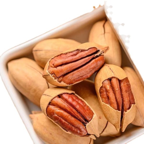 Pecan New Arrival Thin Paper Cream Longevity Fruit American Pecan Bag Net Weight Wholesale and Retail Delivery