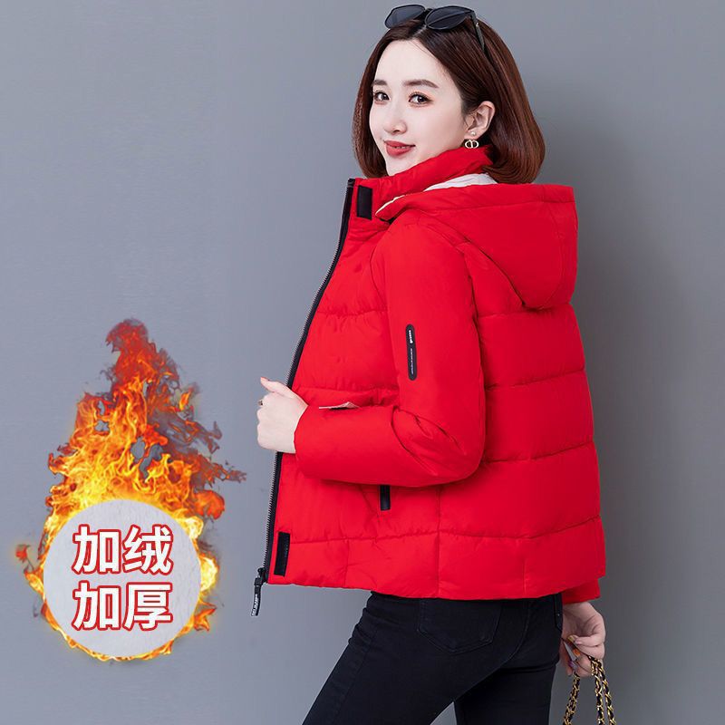레드