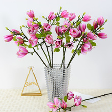 ����4�^���m��֦PU�zƬ���m���m �ҾӔ[�OӰҕ���b[����������