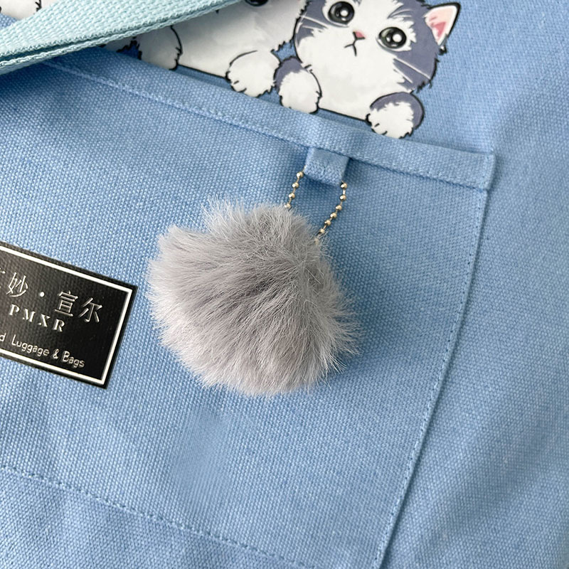 Large-capacity canvas bag 2024 new style fashionable and trendy student class bag, Korean-style simple tutorial bag, one-piece consignment undefined