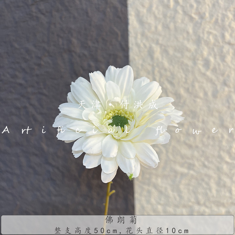 프랑주