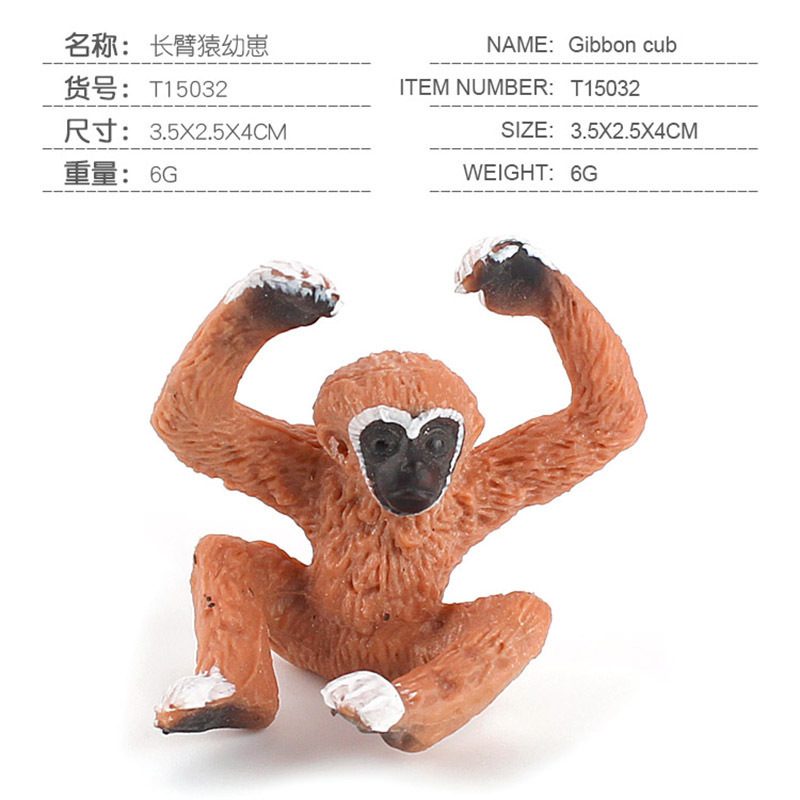 PL127 - 200 Gibbon cachorro 6g