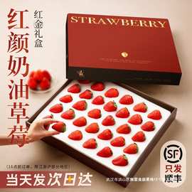红颜奶油草莓礼盒装新鲜水果5斤应当季99九九牛奶大整箱3顺丰包邮