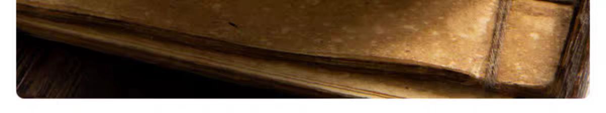 San Leng Slices (Sparganium stoloniferum) — Vinegar-Prepared Dried Herb, 500g in use