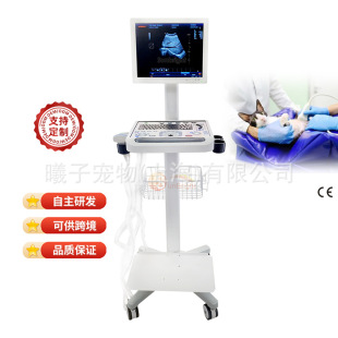 Factory Direct Sales of Veterinary B-Mode Ultrasound Diagnostic Equipment, Animal B-Ultrasound, Fetal Heart Rate Listening, Pet B-Ultrasound Machine, Cross-Border