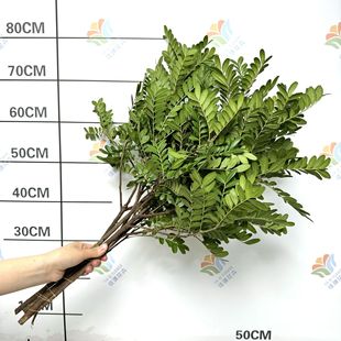 Fresh Fragrant Wood Flowers, Fresh Cut Branches, Yunnan Straight Hair, Niche Wedding Green Plants, Wholesale Event Layout, Forest Flower Materials