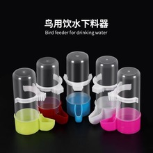 鸟用饮水器自动喂食器喂水喝水器虎皮鹦鹉食盒喂鸟食鸟笼配件用品