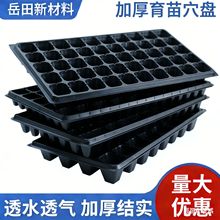 ����P�����L�����бP����бP�߲����ϲ�ݮ�Ӻ����P����Ѩ�P