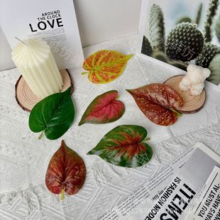 С�t���~����Gֲ�~�ӷ����~ƬDIY�����c�Ҿ��b��ٗl�z���~Ƭ
