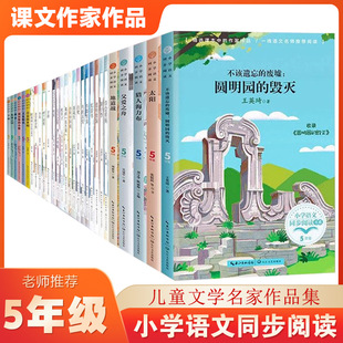 С�W�Z��ͬ����x5/���꼉���ԌW��С�W���n��������x���� ��