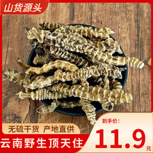 顶天住云南野生中药材虫草参地参干淫花果回春草泡茶煲汤支持切片