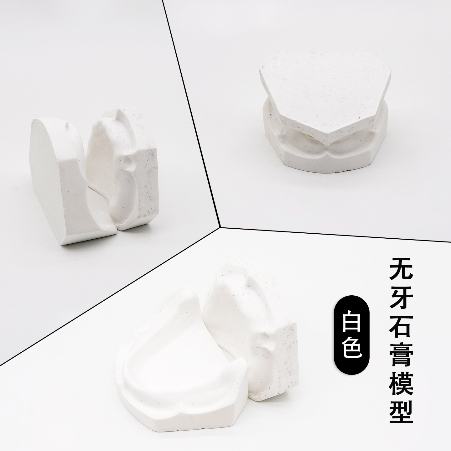 Modelo de yeso oral modelo de yeso dental enseñanza modelo de yeso dental modelo de yeso dental modelo de mandíbula superior e inferior modelo oral