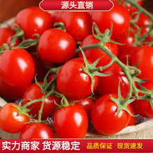 СѷNʳˮ}ŮNļN̨Сt