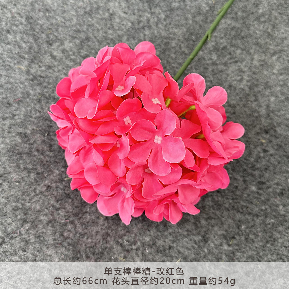 Glipper hydrangea flower Korean large hydrangea flower single…