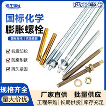 国标化学螺栓镀锌锚栓膨胀螺丝药水套装M8M10M12M14M16M18M20M24