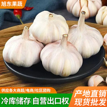 ���⹩�������̳������^�Fُ����샦��羳��������F؛���l