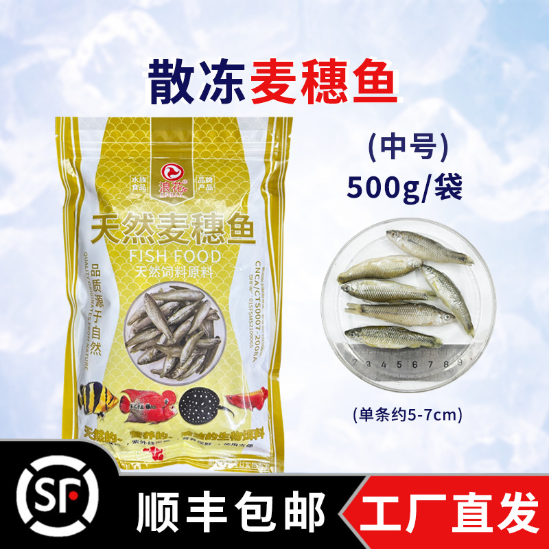500g cá lúa mì (cỡ vừa)