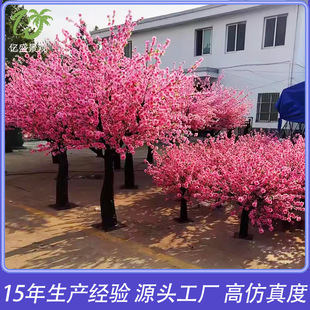 �����һ�����Ҙ����ֲ��ѻ������÷�����S��һ��´��b�