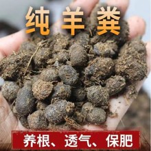 ����S���w���ЙC�l�͸�����S���B���N�ˠI�B���r�ҷ�ͨ�ßo��ζ