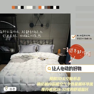 Hot-Selling in Foreign Trade, Winter Warm Feather Velvet Quilt, Gift Quilt Core with Packaging