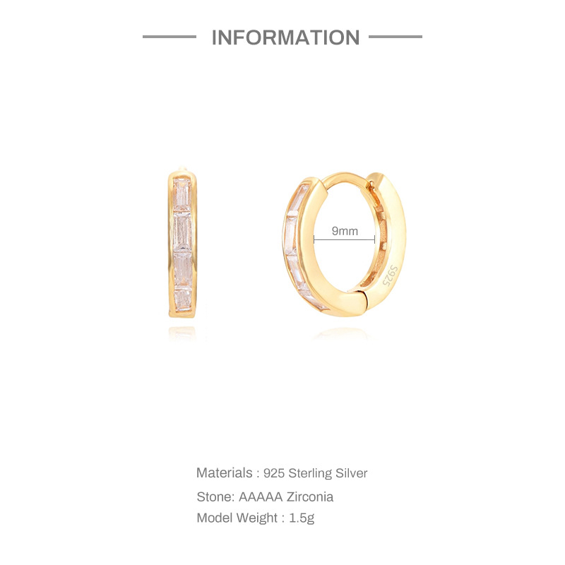 Fashion Geometric Sterling Silver Inlaid Zircon Earrings 1 Pair