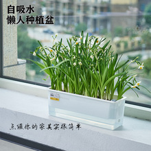 ���漃���辰�������ϻ�����ˮС�ͼ�ͥ�̨�L�������Ժ��s�Nֲ