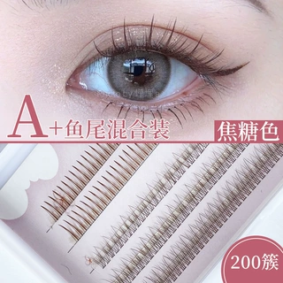 焦糖色a型仙子毛鱼尾朵毛混合装单簇自然仿真假睫毛新手可嫁接c翘