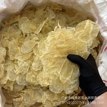 150头蜘蛛胶深海野生甲肚花胶干货孕期产后滋补鱼胶批发