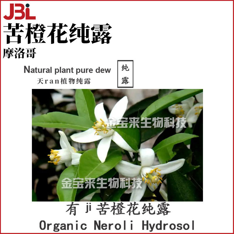 摩洛哥 苦橙花纯露 Neroli Hydrosols 植物花水 化妆品原料 1KG